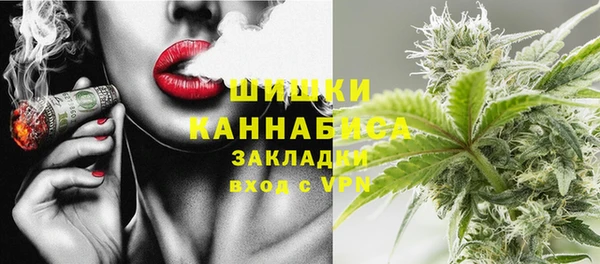 гашик Белокуриха