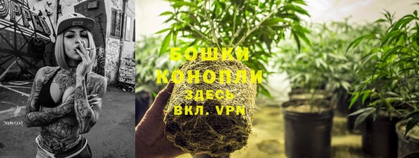 амф Белоозёрский